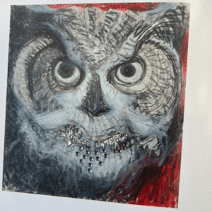 Owl Drooling Plastic