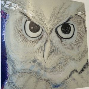 Owl Headshot #4